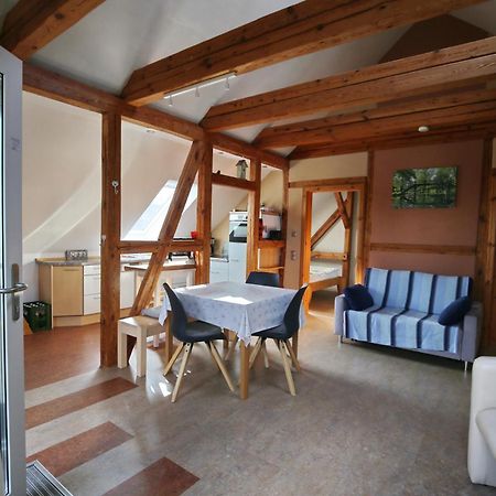 Ferienwohnung Im Vogelhaus Mit Dachterasse Und Grossem Garten Calau Экстерьер фото