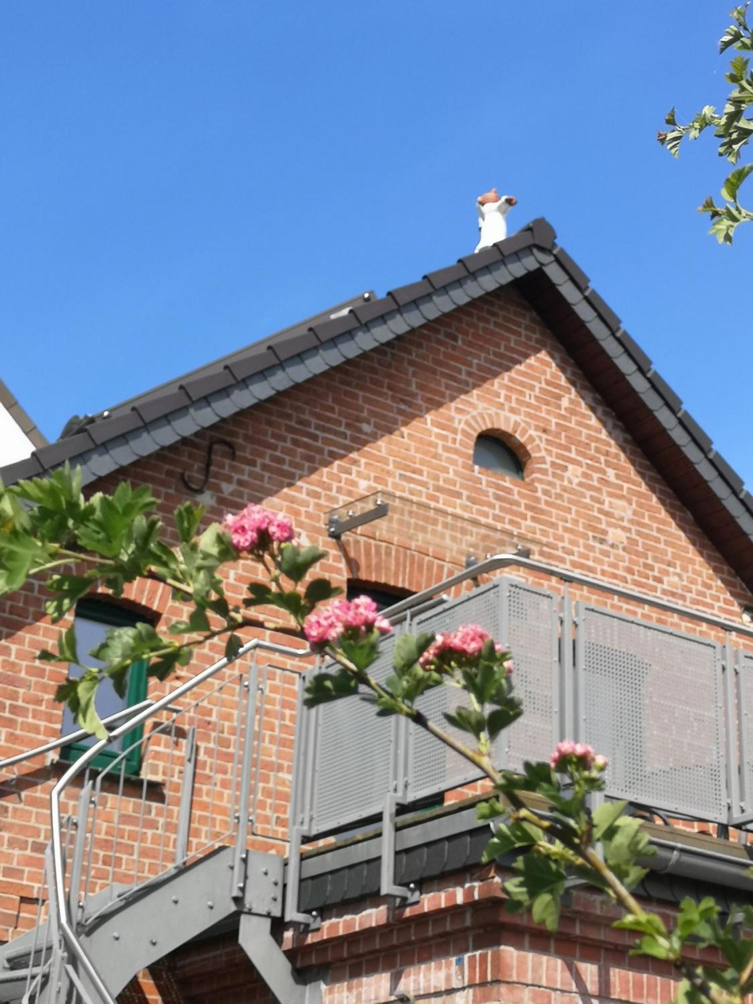 Ferienwohnung Im Vogelhaus Mit Dachterasse Und Grossem Garten Calau Экстерьер фото
